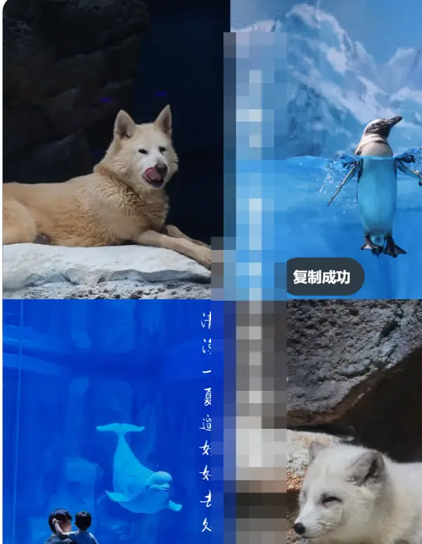 小果** 게시물